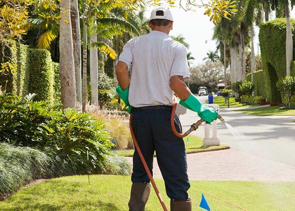 About Connellsville PA Pest Control Pros
